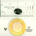 ITLGR_104560_SCALE.webp