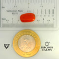 ITLGR_104527_SCALE.webp