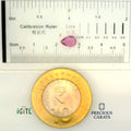 IGITL_200221_SCALE.webp