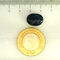 ITLGR_107186_SCALE.webp