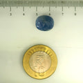 ITLGR_106667_SCALE.webp