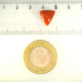 ITLGR_121396_SCALE.webp