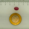 ITLGR_112861_SCALE.webp