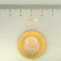 IGITL_200273_SCALE.webp