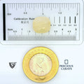 ITLGR_99041_SCALE.webp