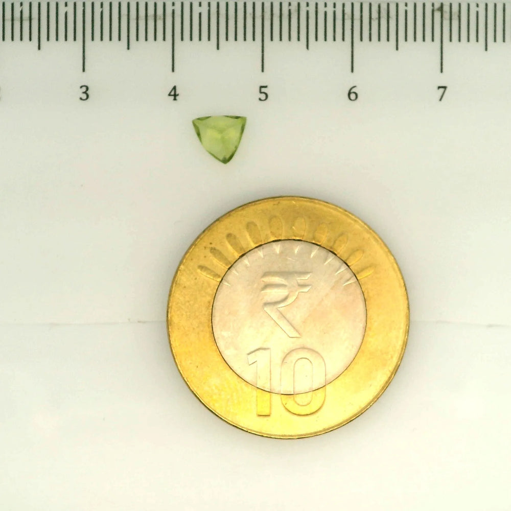 ITLGR_109397_SCALE.webp