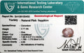 ITLGR_100450_CERTIFICATE.webp