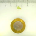 ITLGR_113254_SCALE.webp