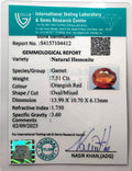 ITLGR_104412_CERTIFICATE.webp