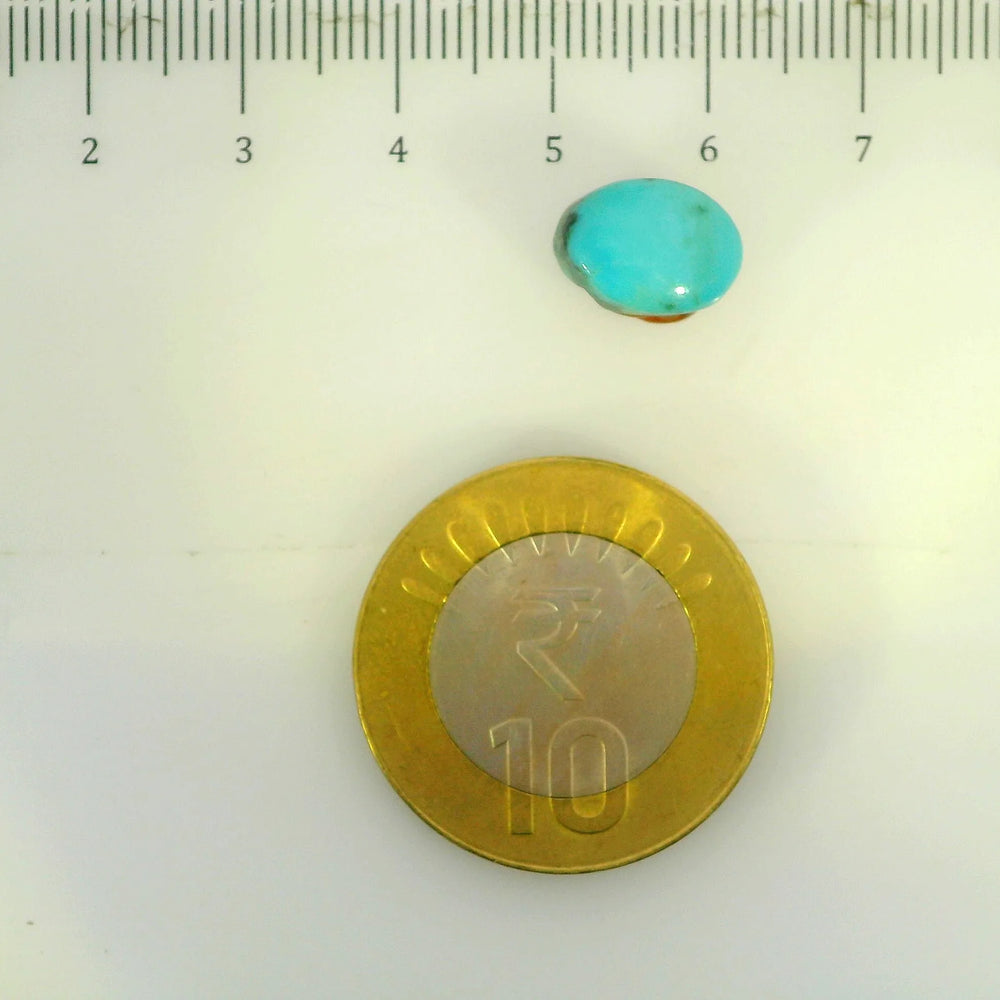 ITLGR_107233_SCALE.webp