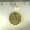 ITLGR_99848_SCALE.webp