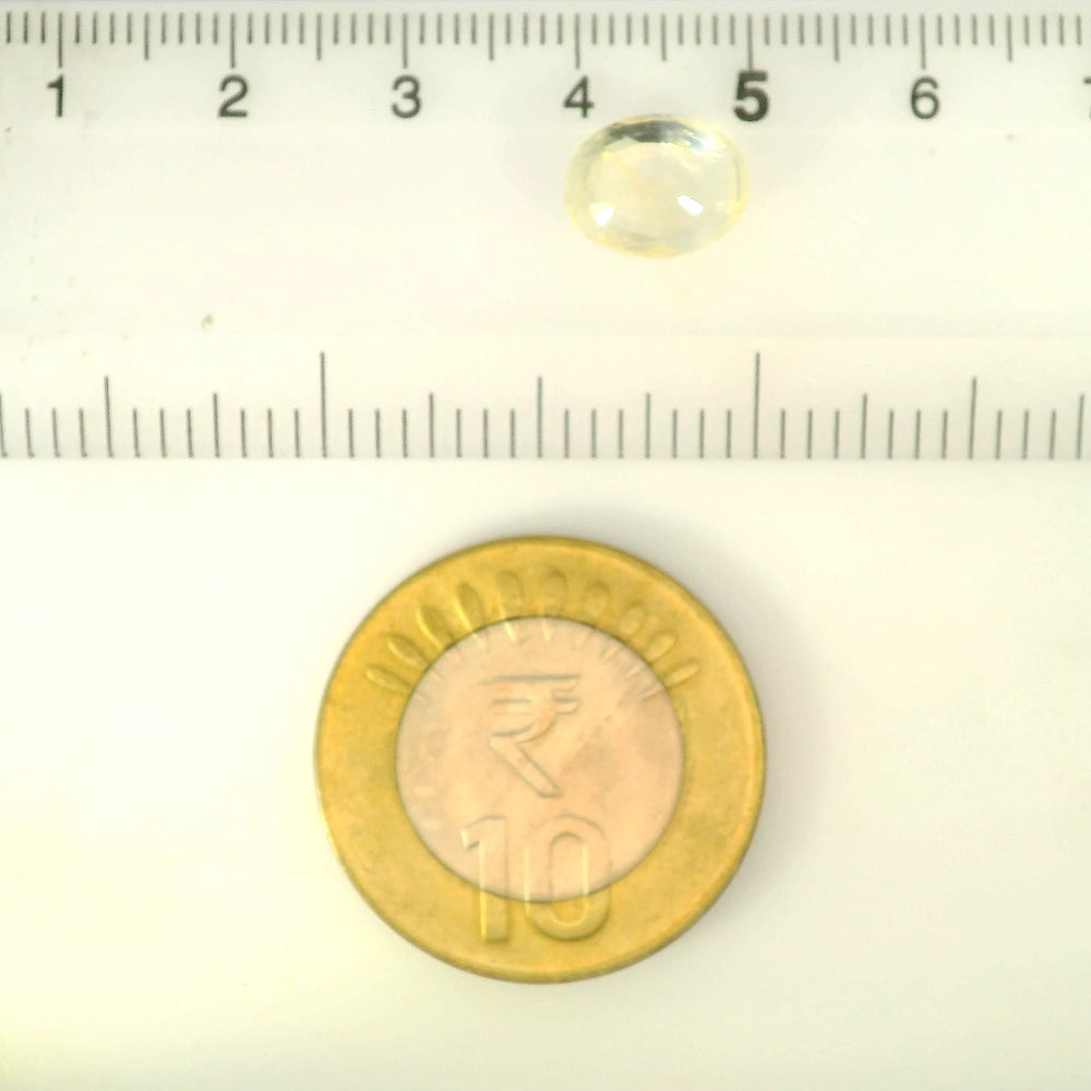 IIGJ_12879D53001_SCALE.webp