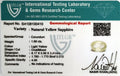 ITLGR_100410_CERTIFICATE.webp