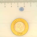 ITLGR_105026_SCALE.webp