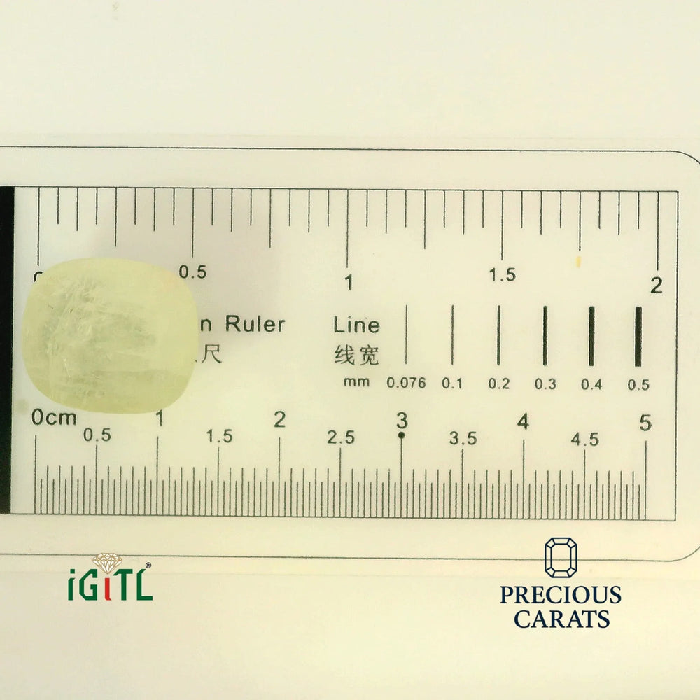 IGITL_194703_SCALE.webp