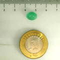AGR_88374_SCALE.webp