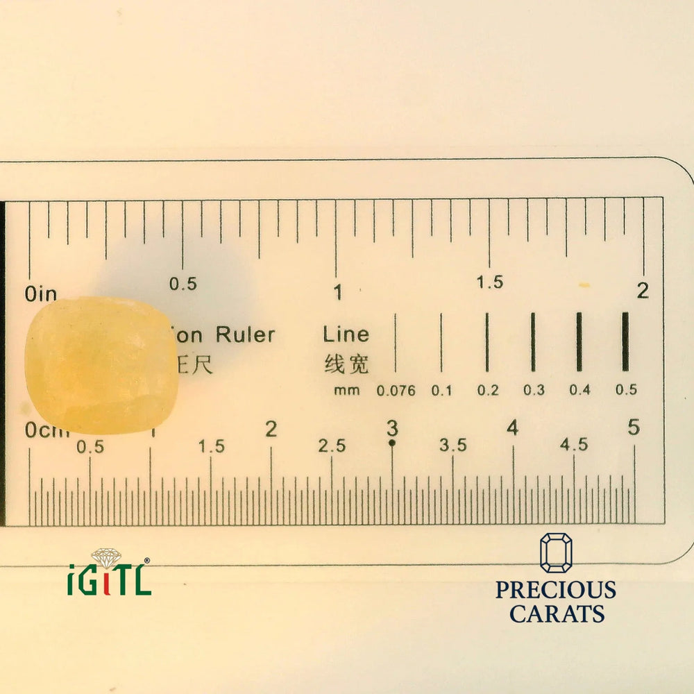 IGITL_194708_SCALE.webp