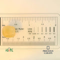 IGITL_194708_SCALE.webp