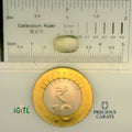 IGITL_197755_SCALE.webp