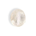 IGITL_211697_TOP.webp