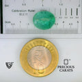 ITLGR_102213_SCALE.webp