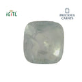 IGITL_194729_TOP.webp