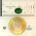 ITLGR_100261_SCALE.webp