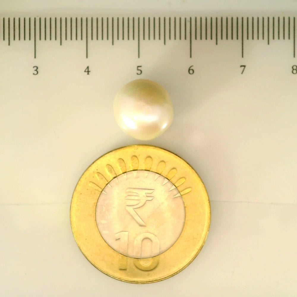 ITLGR_107002_SCALE.webp