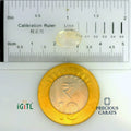 IGITL_197739_SCALE.webp