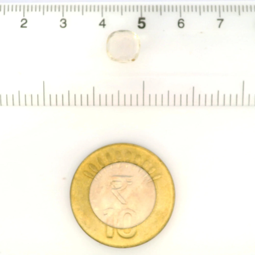 IGITL_211695_SCALE.webp