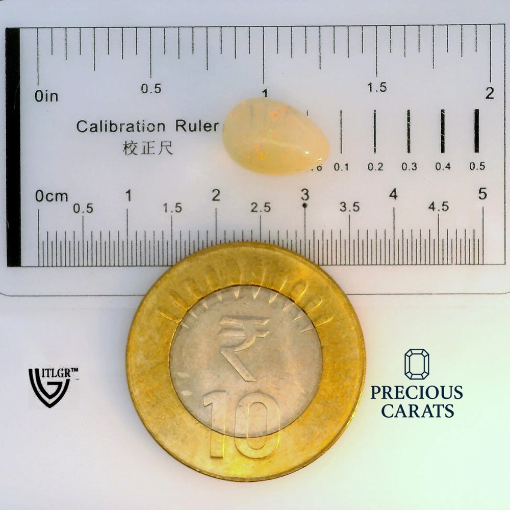 ITLGR_100560_SCALE.webp