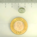 ITLGR_109806_SCALE.webp