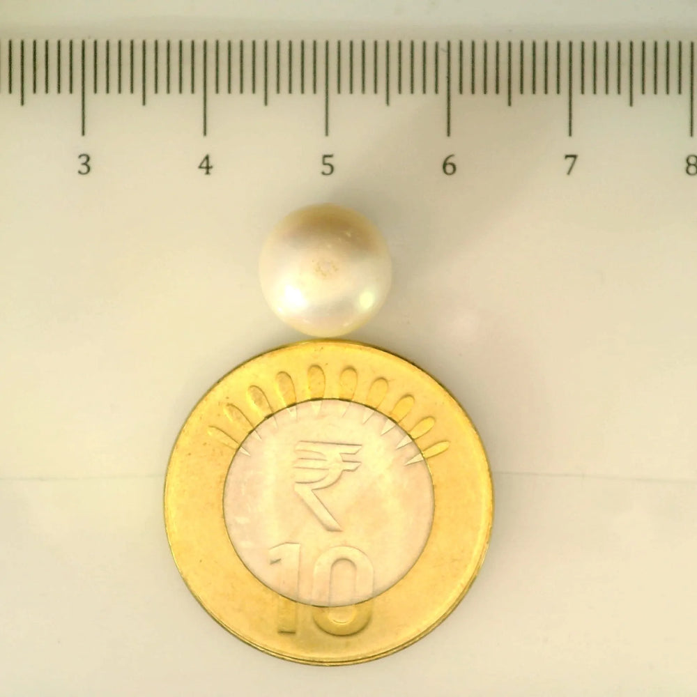 ITLGR_107006_SCALE.webp