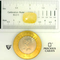 ITLGR_102342_SCALE.webp