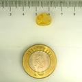 ITLGR_106771_SCALE.webp