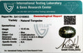 ITLGR_100853_CERTIFICATE.webp