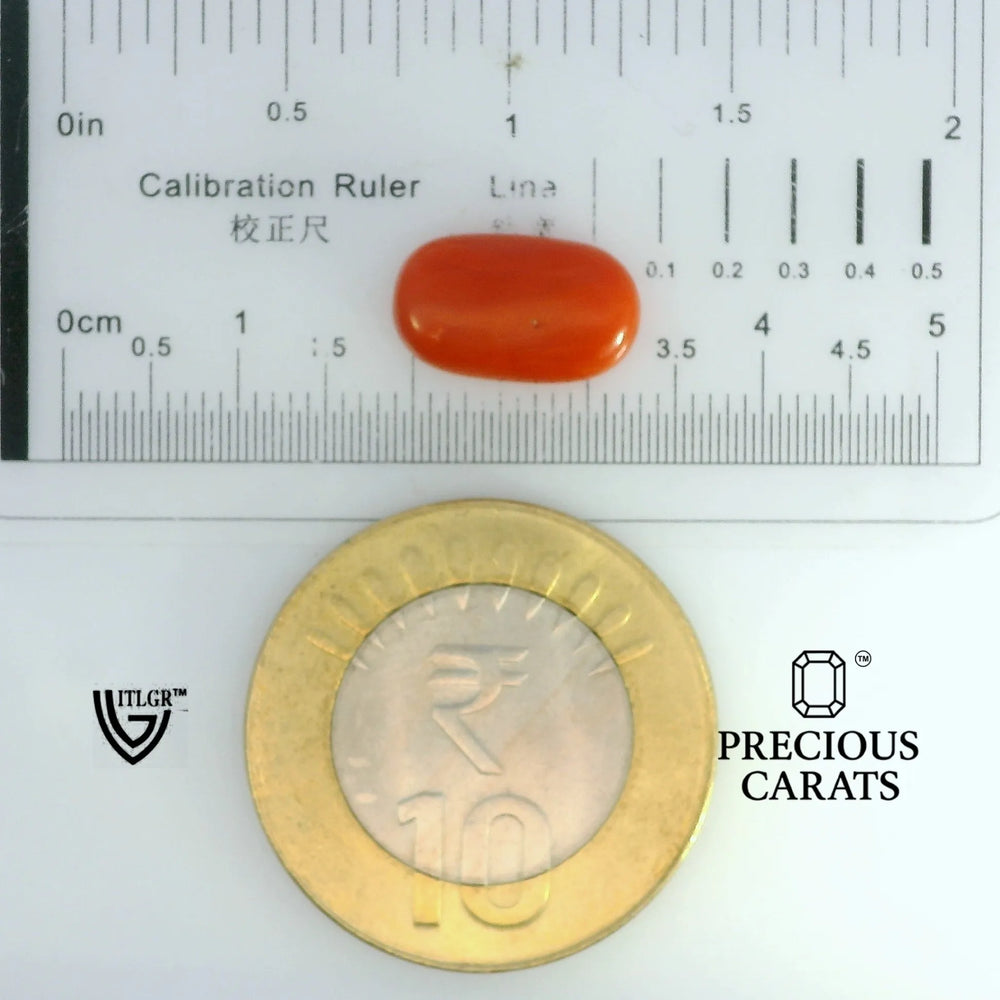 ITLGR_104521_SCALE.webp