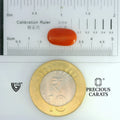 ITLGR_104521_SCALE.webp