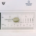 ITLGR_100496_SCALE.webp