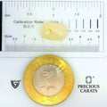 ITLGR_109968_SCALE.webp
