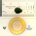 ITLGR_100275_SCALE.webp