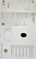 IGI_766652911_CERTIFICATE.webp