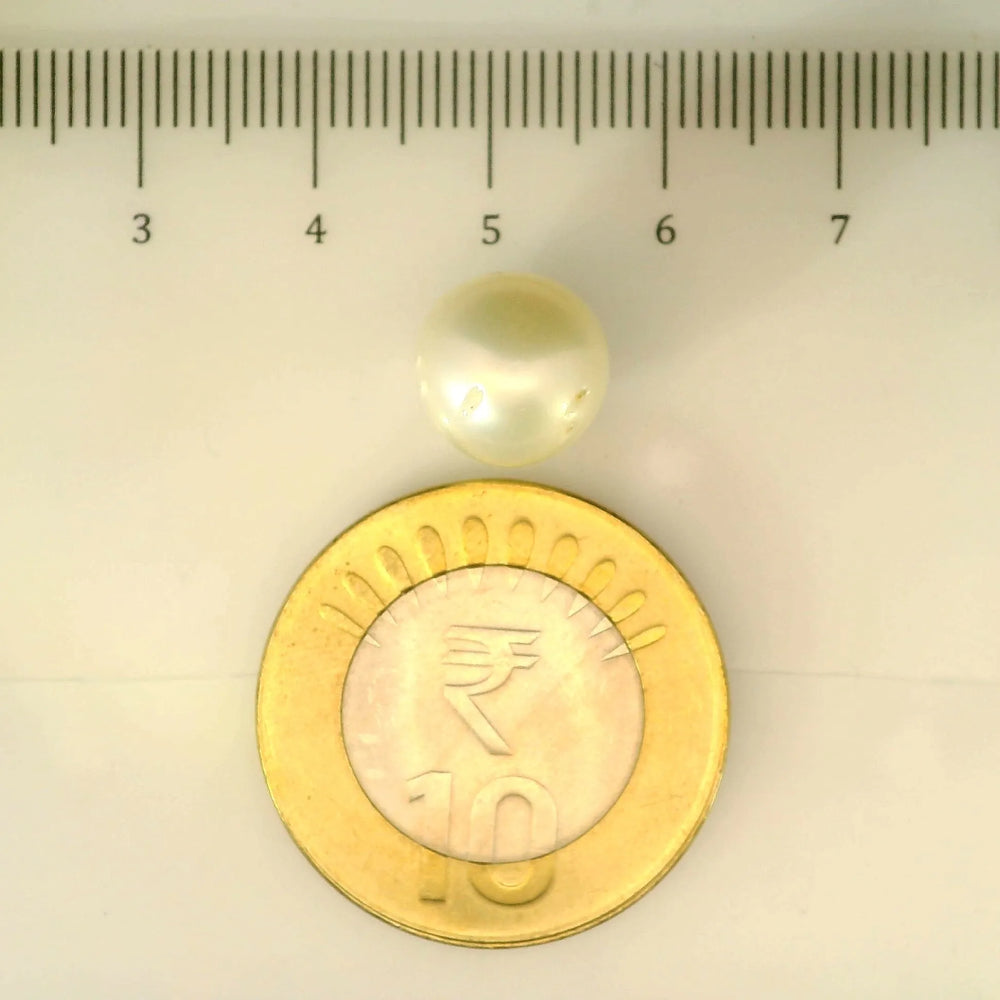 ITLGR_106925_SCALE.webp
