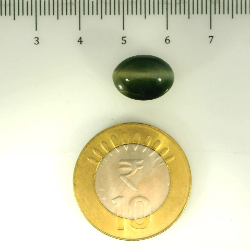 ITLGR_107075_SCALE.webp