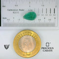 ITLGR_102185_SCALE.webp
