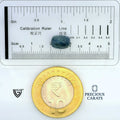 ITLGR_99078_SCALE.webp