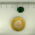 ITLGR_113209_SCALE.webp