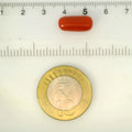 ITLGR_121378_SCALE.webp