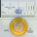 IGITL_197787_SCALE.webp