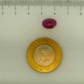 ITLGR_112904_SCALE.webp